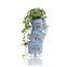 vaso autoirrigavel wishes plante o bem azul planta