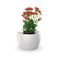 vaso botanika branco flor