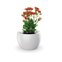 vaso botanika branco flor