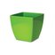 vaso cachepo elegance quadrado nutriplan verde limao