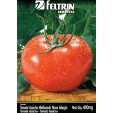 tomate gaucho melhorado eco feltrin