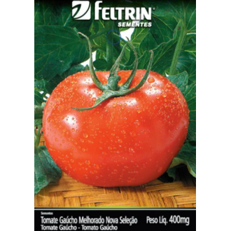tomate gaucho melhorado eco feltrin