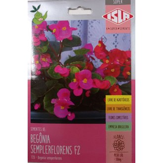 Semente de Begonia Semplerflorens F2 SUPER Isla 50 mg