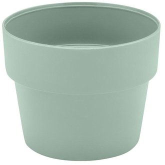 vaso cultivar p ou verde