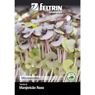semente feltrin microverdes manjericao roxo