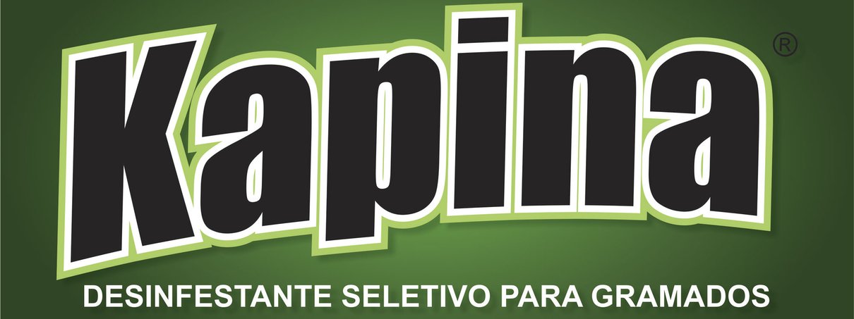 kapina logo