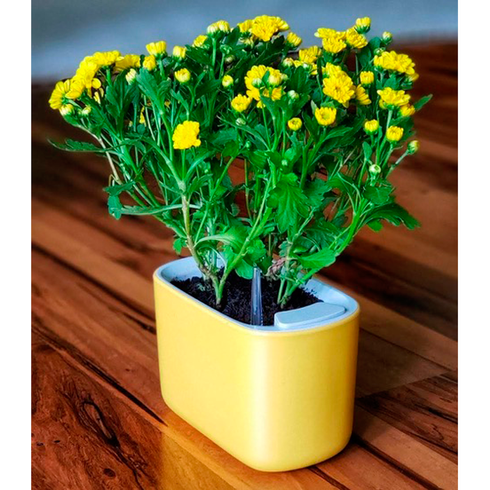 vaso autoirrigavel botanika pequeno amarelo2